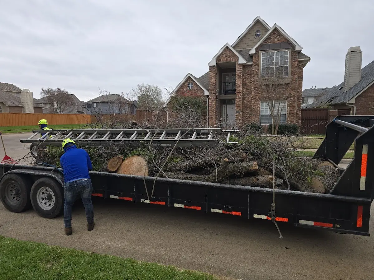Expert Tree Removal with proper safety equipment in Oak Creek